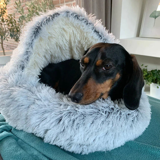Luna Droombedje Hondenmand – Zacht Comfortabel Huisdierenbed