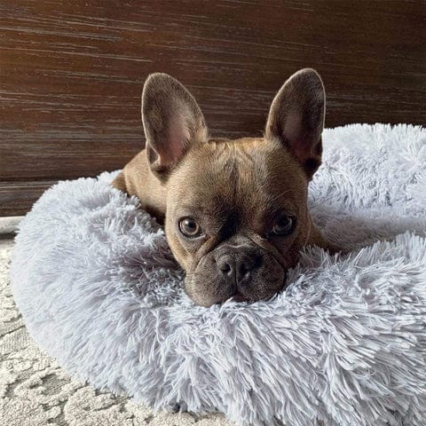 Luna Kalmerend Hondenbed – Zacht Rond Bed met Verhoogde Rand