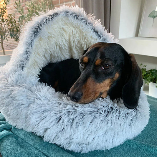 Honden Grotbed – Knus Hondenbed met Beschutte Slaapruimte