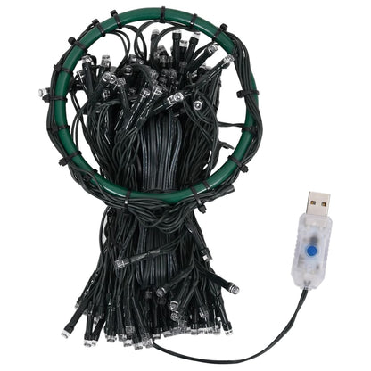 Warmwitte Kerstboomverlichting met 250 LED's voor een Boom van 250 cm