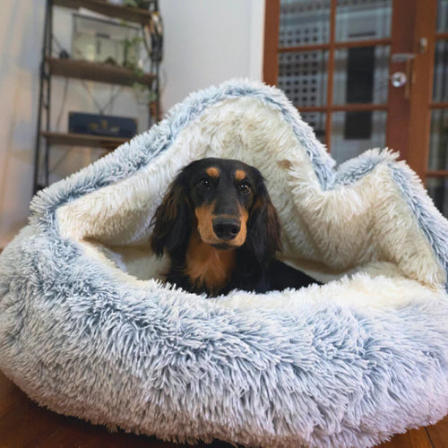 Honden Grotbed – Knus Hondenbed met Beschutte Slaapruimte
