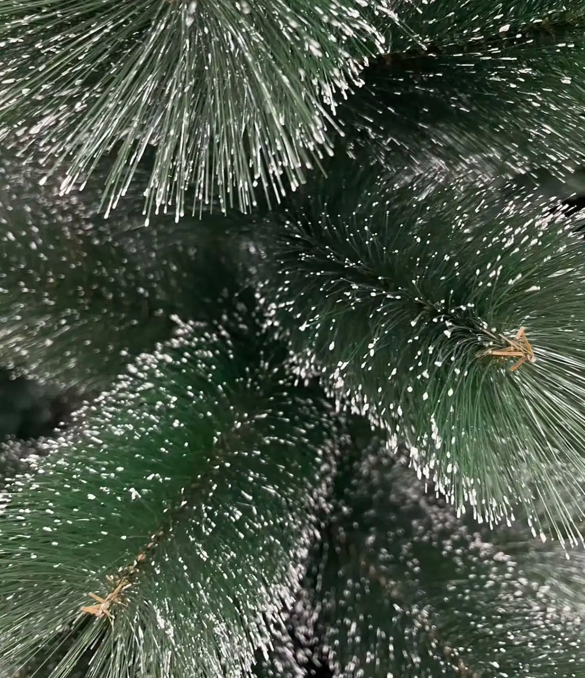 Kunstkerstboom – Realistisch Design in Diverse Maten en Stijlen