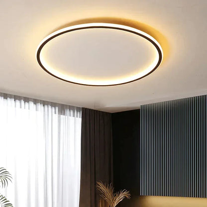 Scandinavische Ronde Plafondlamp
