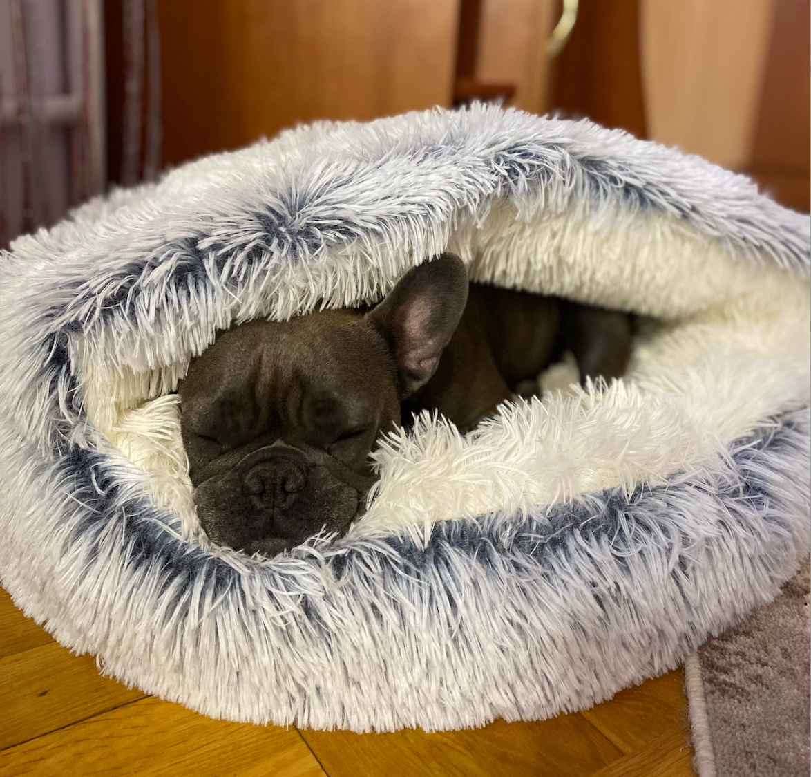 Honden Grotbed – Knus Hondenbed met Beschutte Slaapruimte