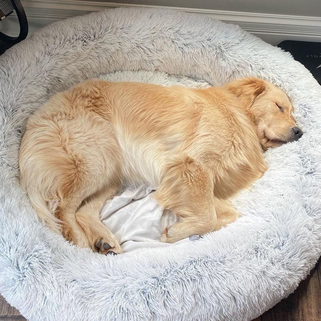Luna Kalmerend Hondenbed – Zacht Rond Bed met Verhoogde Rand