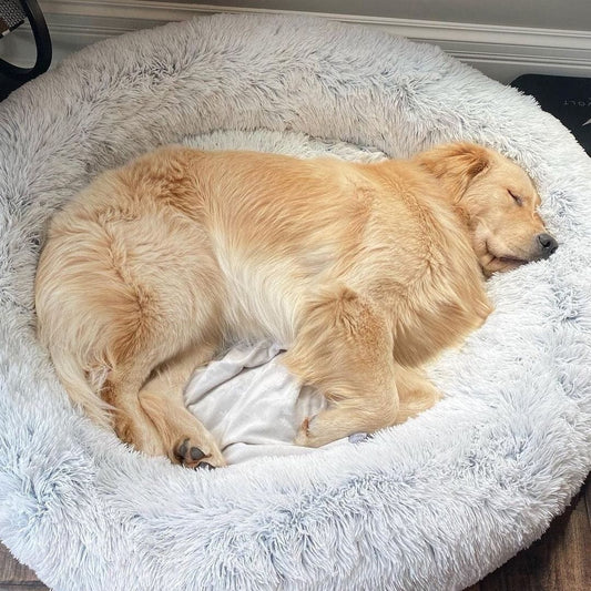 Luna Kalmerend Hondenbed – Zacht Rond Bed met Verhoogde Rand