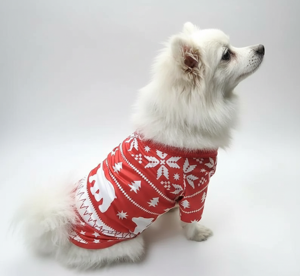 Feestelijke Familie Kerstpyjama Set – Bijpassende Winter Pyjama