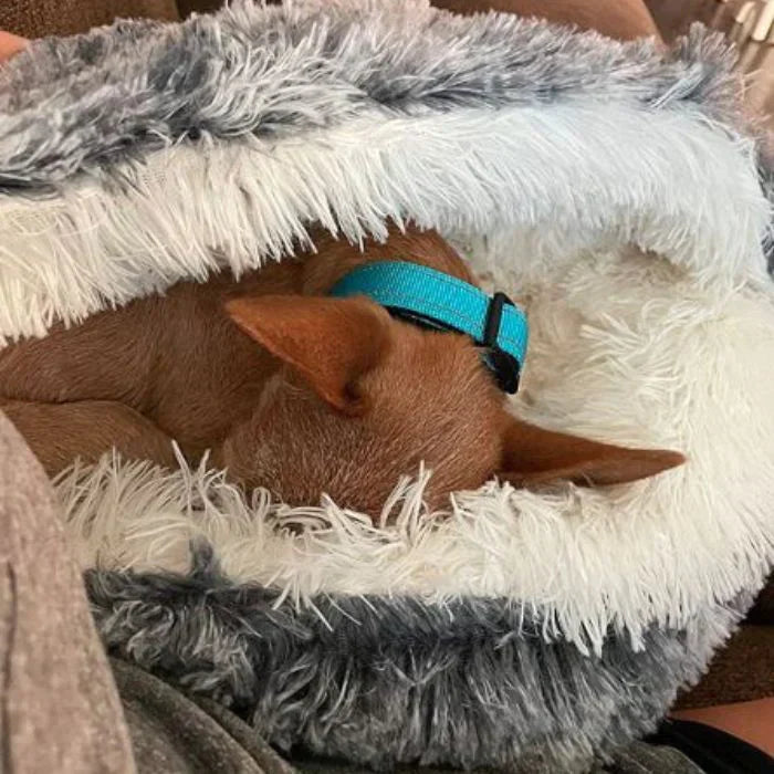 Luna Droombedje Hondenmand – Zacht Comfortabel Huisdierenbed
