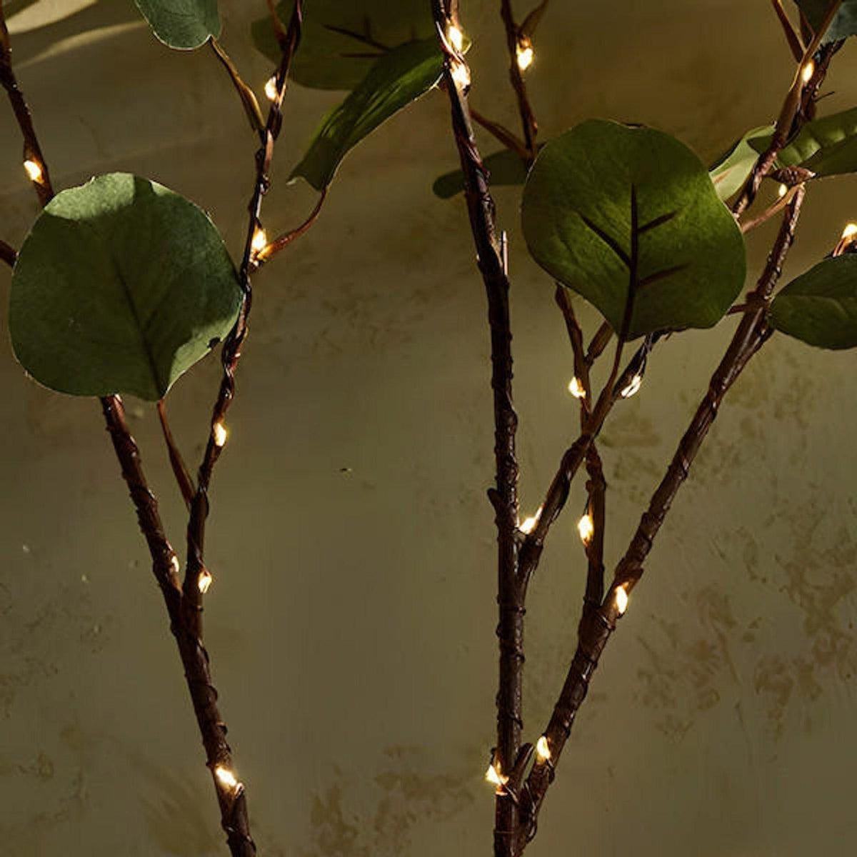 BloesemGloed Eucalyptus LED Takverlichting met Warm Licht