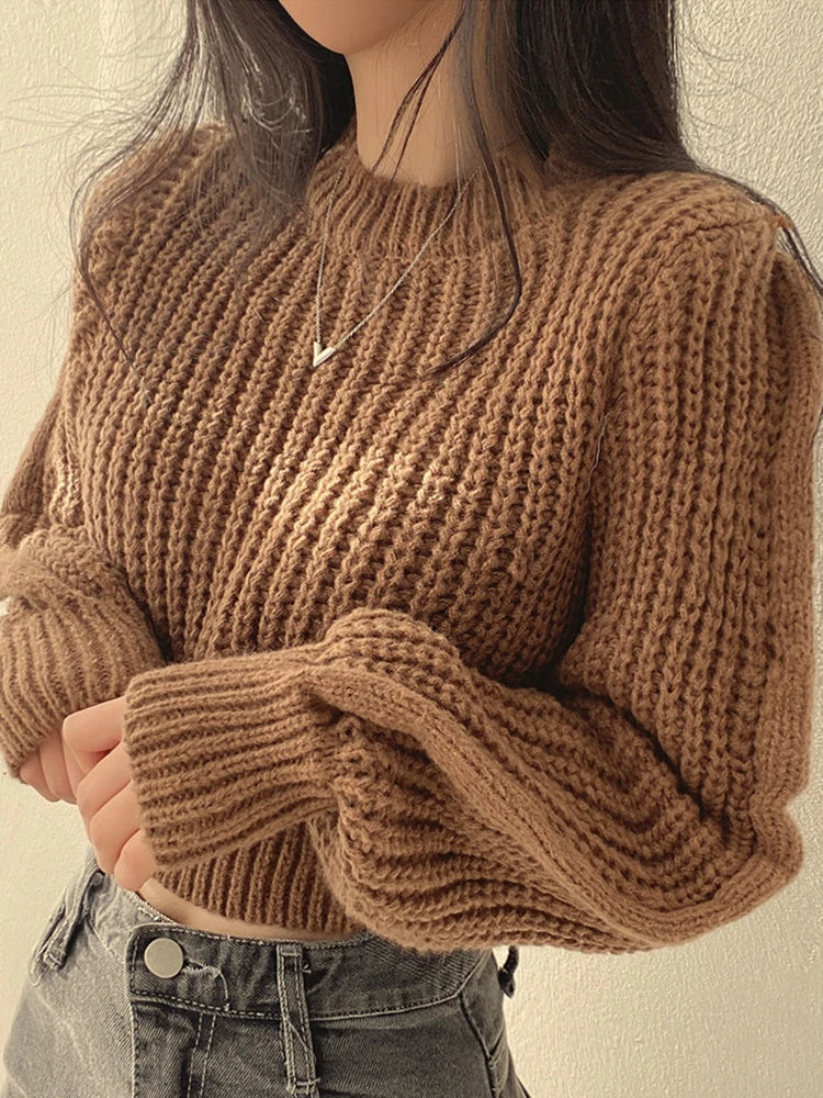 VintageDroom Dames Trui – Losvallend Model met Lantaarnmouwen