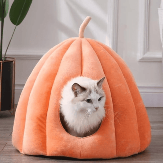 Pompoen Kattenbed – Gezellig Gesloten Kattenhuisje voor Binnen