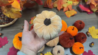 Herfstpompoenen Set 12 Stuks – Velvet Decoratie in Herfstkleuren