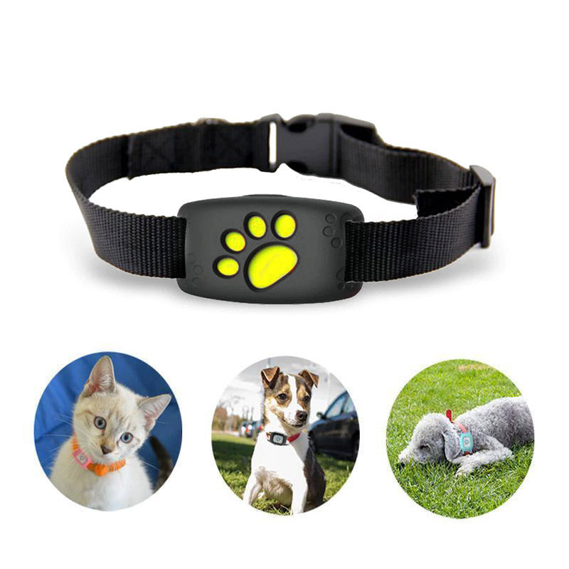 PootKompas Huisdier GPS Halsband Real-time Tracker zonder Abonnement