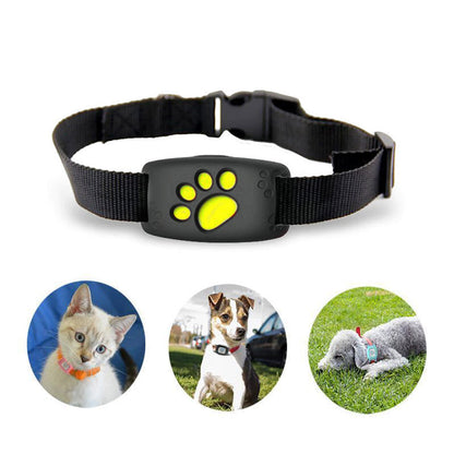 PootKompas Huisdier GPS Halsband Real-time Tracker zonder Abonnement