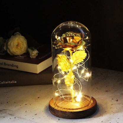 Liefdesroos – Eeuwige Rode Roos met LED-verlichting en Glazen Stolp