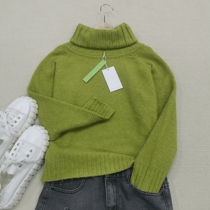 Dames Oversized Polotrui met Brede Kraag en Lange Mouwen