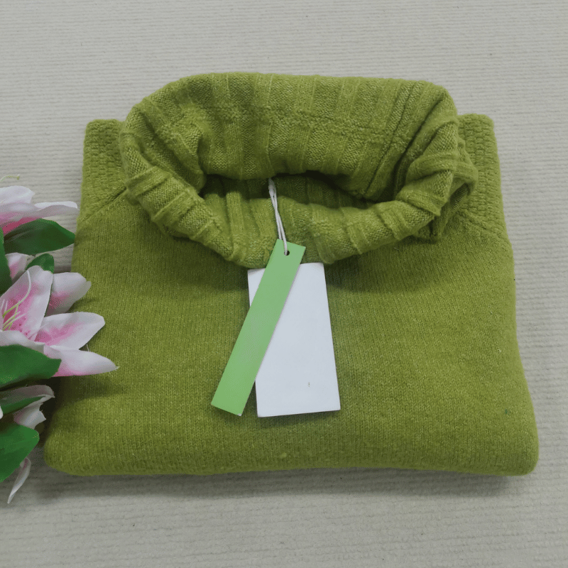 Dames Oversized Polotrui met Brede Kraag en Lange Mouwen