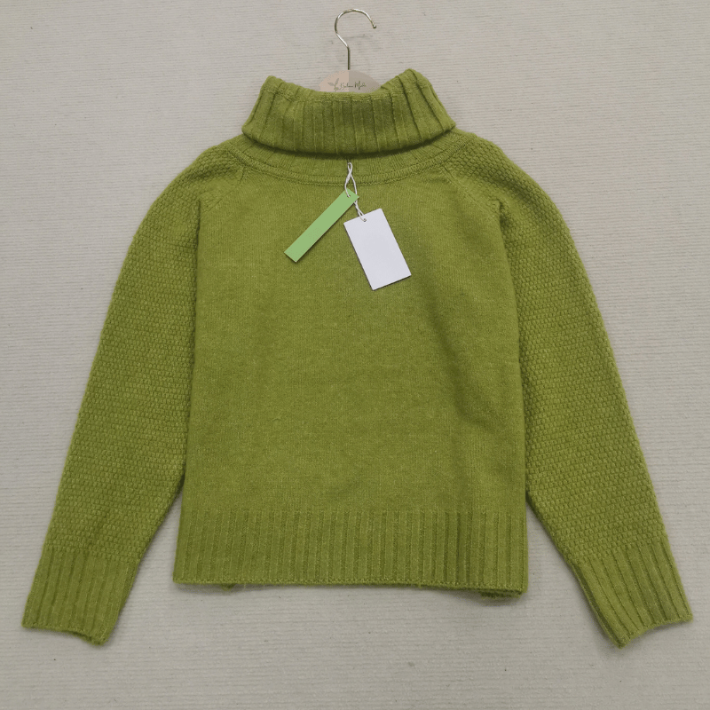 Dames Oversized Polotrui met Brede Kraag en Lange Mouwen
