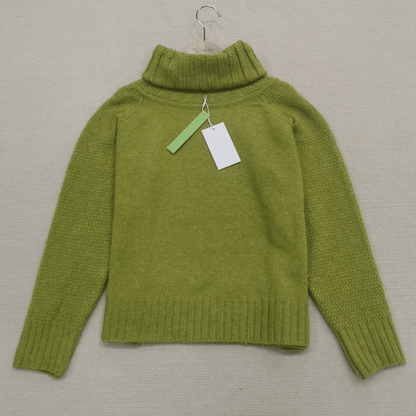 Dames Oversized Polotrui met Brede Kraag en Lange Mouwen