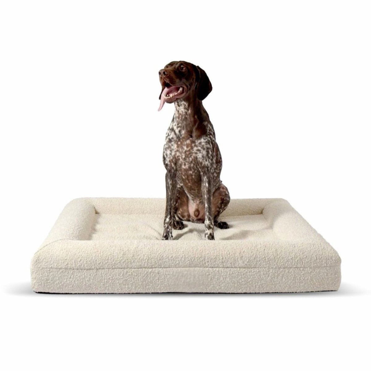 ZachtPoot Orthopedisch Hondenkussen met Memory Foam