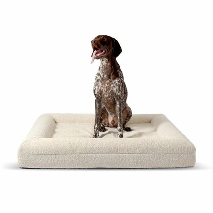ZachtPoot Orthopedisch Hondenkussen met Memory Foam