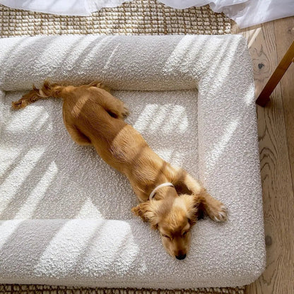 ZachtPoot Orthopedisch Hondenkussen met Memory Foam