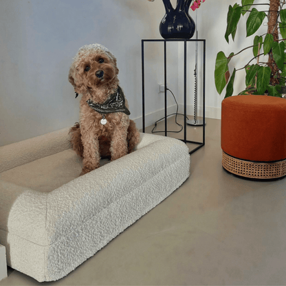 ZachtPoot Orthopedisch Hondenkussen met Memory Foam