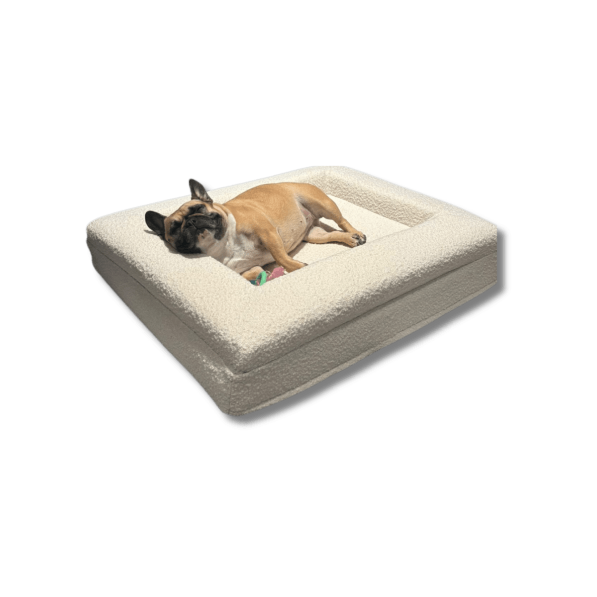 ZachtPoot Orthopedisch Hondenkussen met Memory Foam