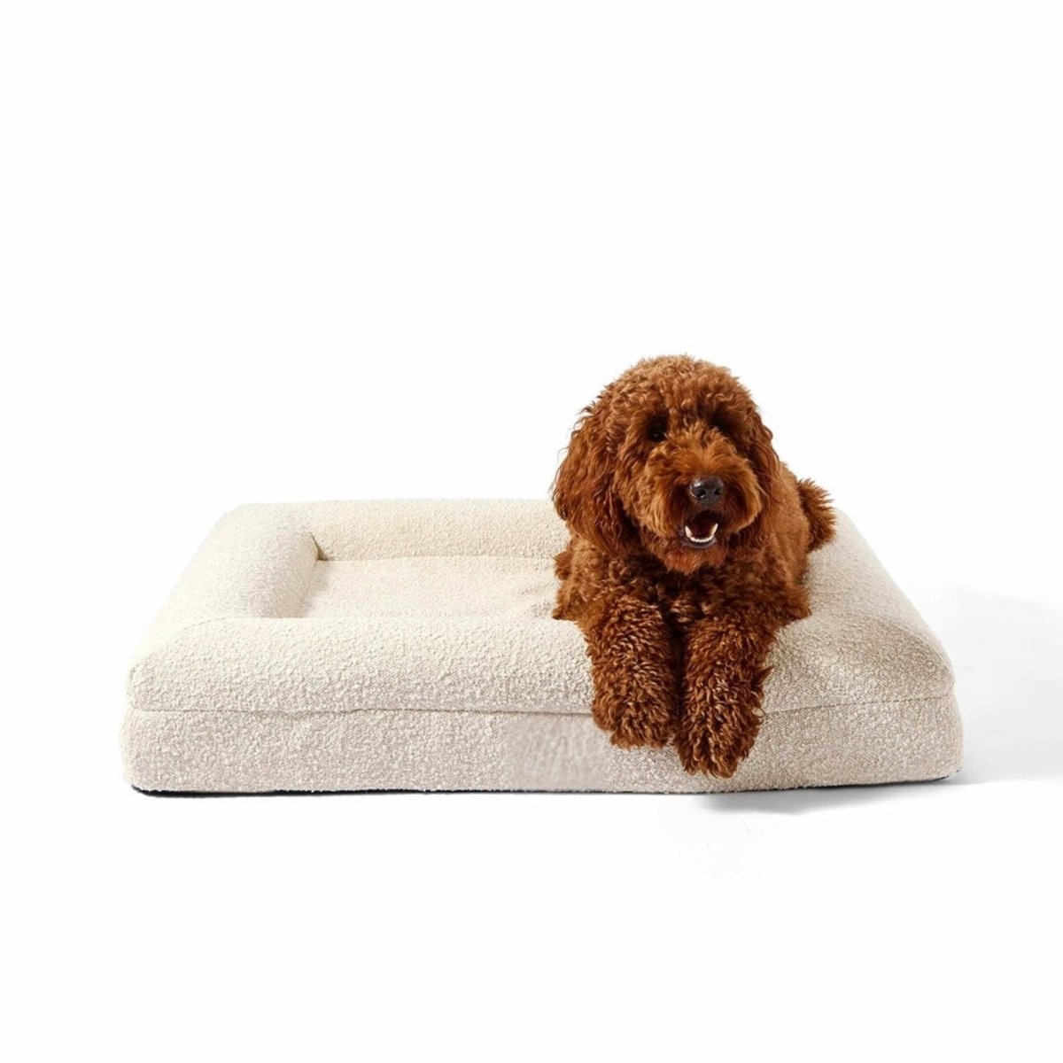ZachtPoot Orthopedisch Hondenkussen met Memory Foam